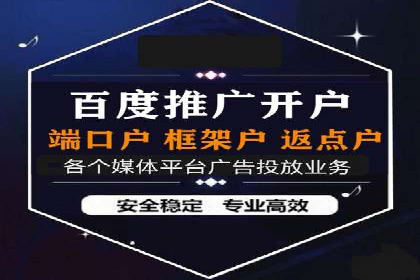 竞价托管服务案例解析